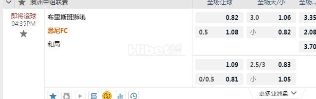 澳甲 16：35 布里斯班狮吼VS悉尼FC