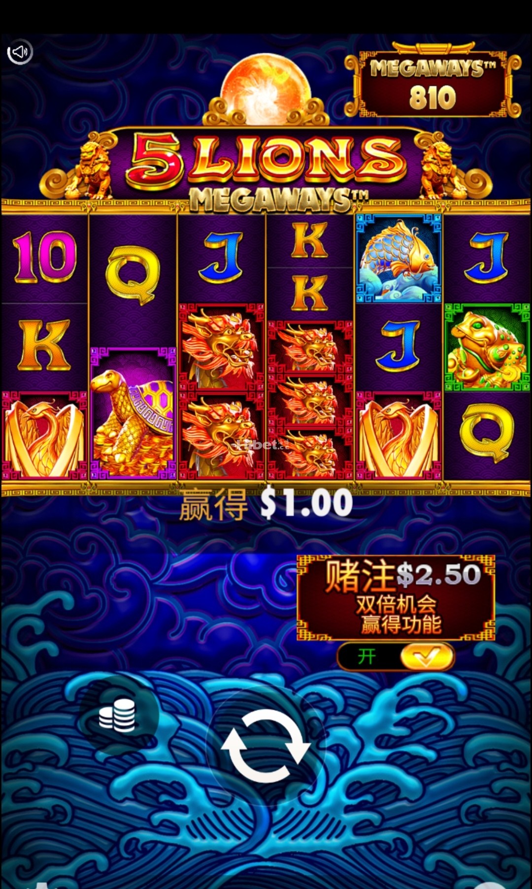 5金狮不行亏了
