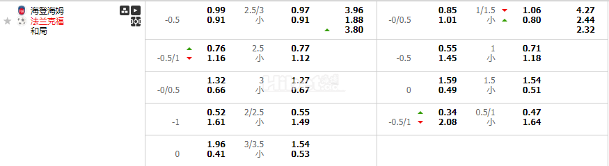 海登海姆VS法兰克福